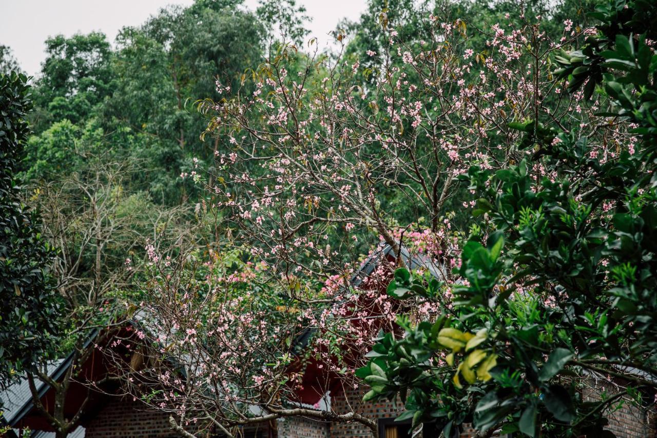 Cat Ba Spring Garden Homestay Hien Hao Exterior photo